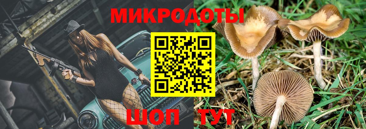 купить наркотики сайты  Вход с VPN  Ступино  Галлюциногенные грибы Psilocybe 